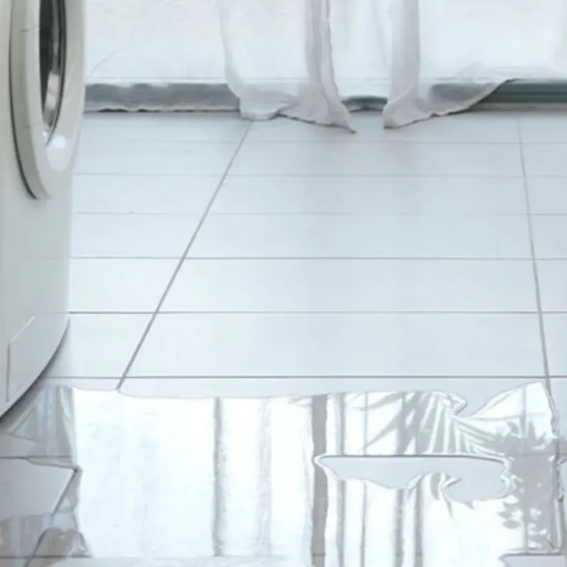 Appliance Leak Cleanup in Forman, ND