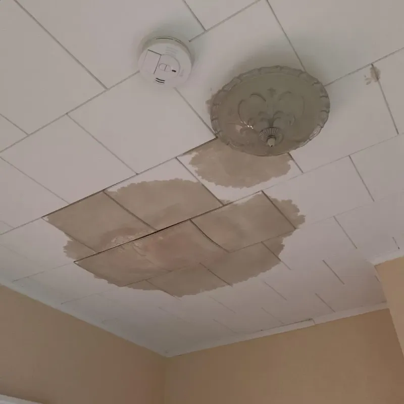 Ceiling Water Damage Repair in Forman, ND