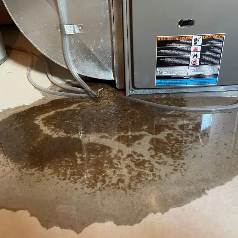 Pipe Burst and Leak Restoration in Forman, ND