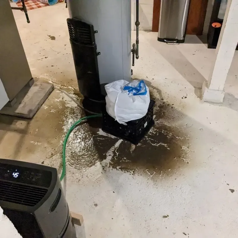 Sewage Backup Cleanup Service in Forman, ND